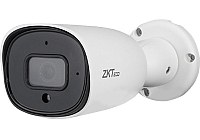 Камера видеонаблюдения ZKTeco BL-854N38S-S7